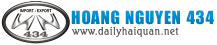 Hoang Nguyen 434